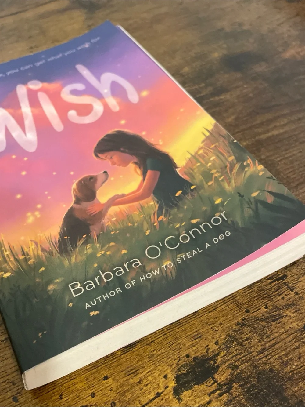 Wish By Barbara O'Connor~ Preowned